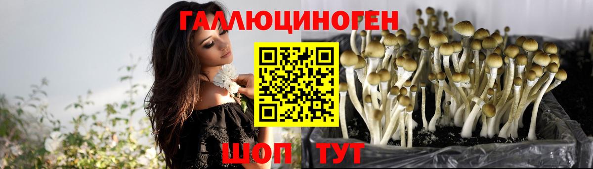 Ханты-Мансийск  Галлюциногенные грибы Cubensis  Вход с VPN 